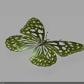 Vibrant Green Aquatic Creature With White Spots On White Background Scene 3d model