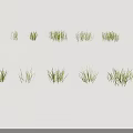 Natural Green Grass in Different Forms Arranged in Two Rows With White Background 3d model