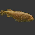 Detailed Red Grouper Fish on Dark Background with Clear Reflection View 3d model