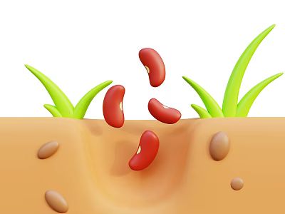 Red Beans Sprouting In Soil With Green Grass Blades And Brown Seeds 3d model