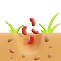 Red Beans Sprouting In Soil With Green Grass Blades And Brown Seeds