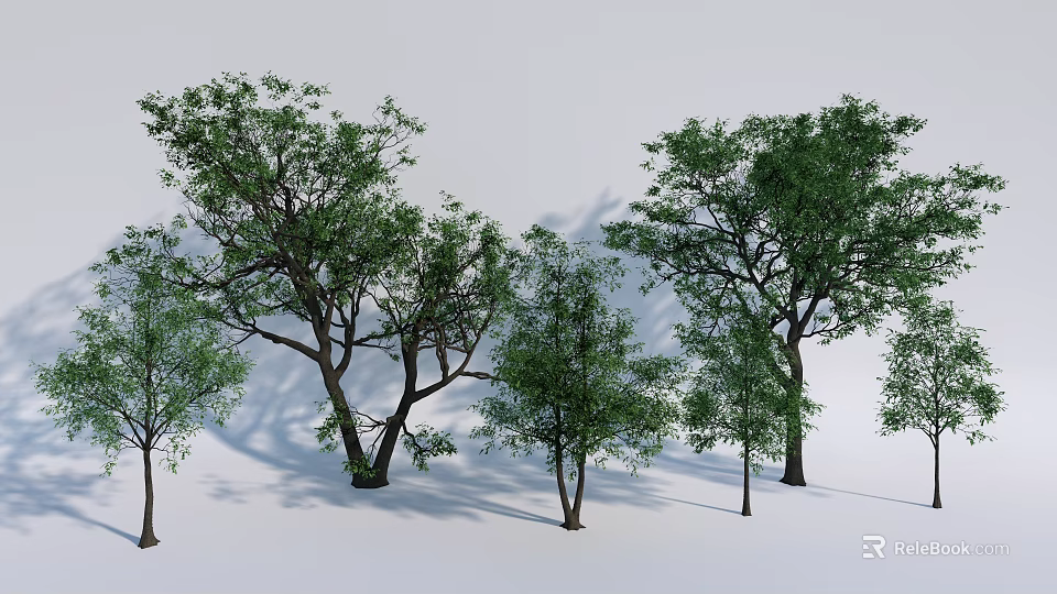 Multiple Arbor Trees With Different Sizes Green Leaves And Natural Shadows For Landscape 3d model