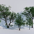 Multiple Arbor Trees With Different Sizes Green Leaves And Natural Shadows For Landscape 3d model