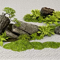 Tranquil Stone Landscape with Small Pine Tree Ferns Moss and White Gravel Surface