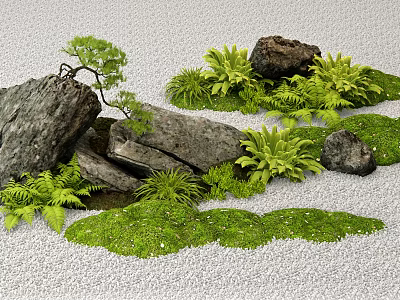 Tranquil Stone Landscape with Small Pine Tree Ferns Moss and White Gravel Surface 3d model