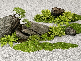 New Chinese Style Landscape Stone Bryophytes Courtyard Landscape Sits Stones Stones Pteridophytes Plant Pile Plant Combination 3d model