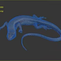 Detailed Brown And Orange Lizard With Long Tail On Black Background 3d model