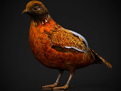 Vibrant Patterned Feathered Flying Animal Bird with Orange Red Brown Plumage 3d model