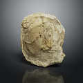 Ancient Marine Animal Fossil With Detailed Shell Structure On Dark Background