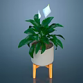 Houseplant With Green Leaves And White Flowers In Gray Pot On Orange Legged Stand