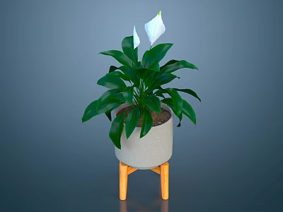 Houseplant With Green Leaves And White Flowers In Gray Pot On Orange Legged Stand 3d model
