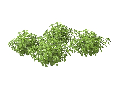 green plants flowers and plants 3d model