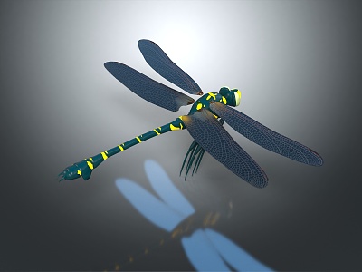 modern dragonfly thin-winged dragonfly lexian dragonfly 3d model