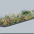Diverse Shrubs In Long Garden Flower Bed With Ornamental Grasses And Concrete Stone Border