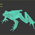Brown Spotted Frog With Yellow Belly And Webbed Feet On Dark Background