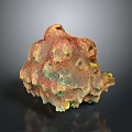 Brightly Colored Coral With Porous Textured Surface In Marine Aquatic Environment