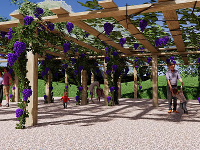Garden Landscape With Wooden Pergola Purple Vines Flowers People Under Gravel Ground Green Grass 3d model