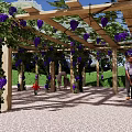 Garden Landscape With Wooden Pergola Purple Vines Flowers People Under Gravel Ground Green Grass