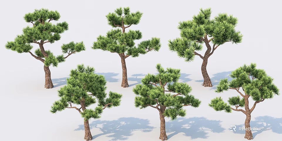 Various Evergreen Pine Trees With Lush Green Foliage And Sturdy Brown Trunks For Landscape Design 3d model 