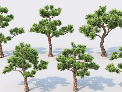 Various Evergreen Pine Trees With Lush Green Foliage And Sturdy Brown Trunks For Landscape Design 3d model
