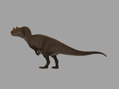 Modern Dinosaurs 3d model
