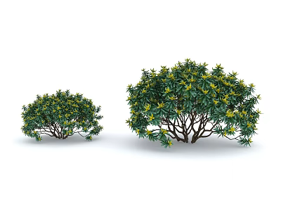 Two Green Leafy Shrubs With Yellow Accents Small And Large Sizes 3d model