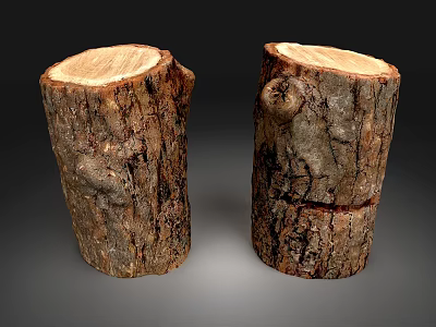 Natural Stone Wood Tree Stumps With Bark Texture And Annual Ring Sections 3d model