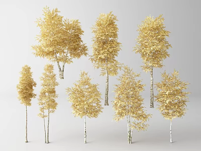 Golden Leaf Trees With White Trunks And Lush Canopies In Various Sizes 3d model