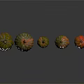 Colorful Decorative Pumpkins With Smiley Faces In Various Sizes For Home Use