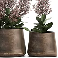 Bonsai Potted Plants In Metal Pots With Pink Small Flowers And Green Leaves