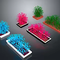Colorful Blue Pink Green Plants in White Black Square Rectangular Containers