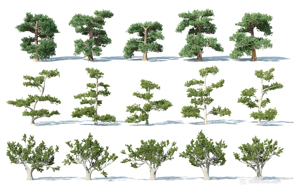 Various Arbor Species With Different Crown Shapes And Green Foliage 3d model 