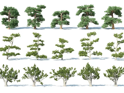 Various Arbor Species With Different Crown Shapes And Green Foliage 3d model