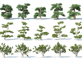 The Modern Tree 3d model