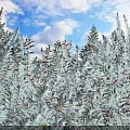 Lush Silver Gray Leaf Shrubs with Red Berries Under Blue Sky and White Clouds