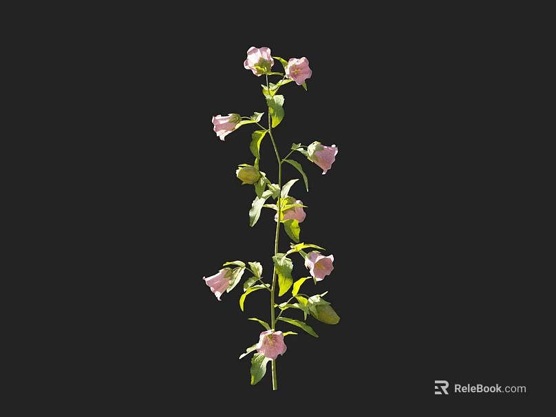 Pink Blooms on Green Stem with Lush Leaves in Vertical Plant Growth 3d model 