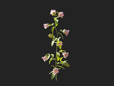 Pink Blooms on Green Stem with Lush Leaves in Vertical Plant Growth 3d model