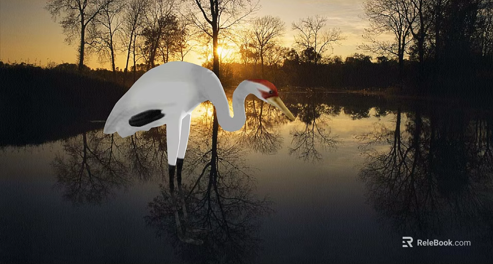 White Crane Standing by Lake with Sunset Trees and Water Reflection 3d model 