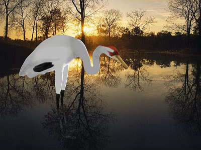 White Crane Standing by Lake with Sunset Trees and Water Reflection 3d model