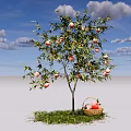Apple Tree Loaded with Red Apples and Basket of Apples on Green Grass