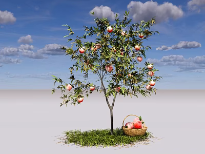 Apple Tree Loaded with Red Apples and Basket of Apples on Green Grass 3d model