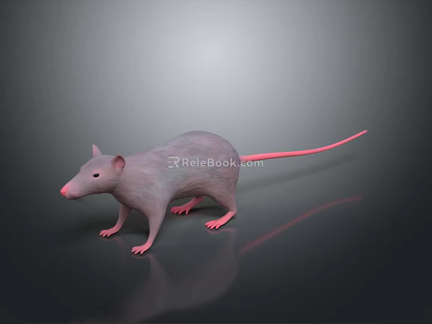 Cartoon Mouse Animated Mouse Grey Mouse Anime Mouse Cartoon Character 3d model