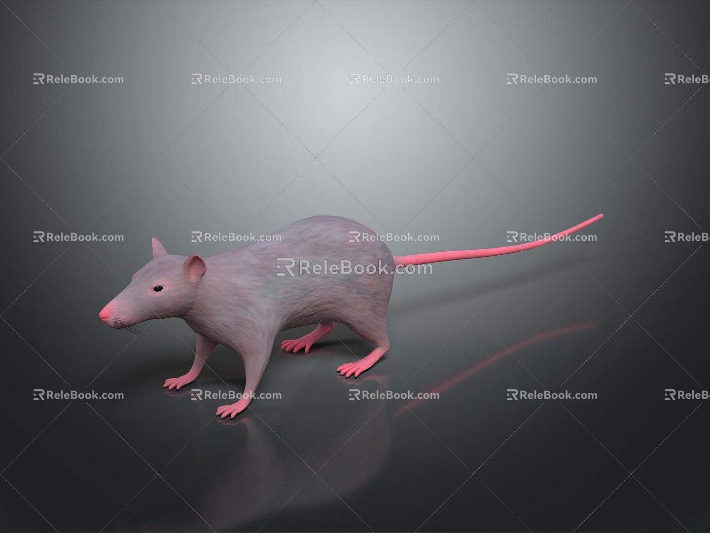 Cartoon Mouse Animated Mouse Mouse Mouse Mouse Mouse Grey Mouse Anime Mouse Cartoon Character 3d model