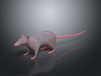 Game Movie Character Gray Rat With Pink Tail And Reflection On Dark Glossy Surface 3d model