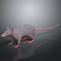 Cartoon Mouse Animated Mouse Grey Mouse Anime Mouse Cartoon Character 3d model