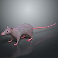 Cartoon Mouse Animated Mouse Mouse Mouse Mouse Mouse Grey Mouse Anime Mouse Cartoon Character 3d model