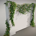 Lush Green Vines Climbing On White Wall With Dense Leaves And Shadows