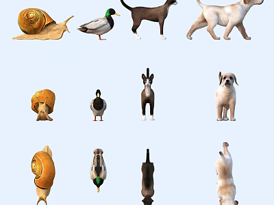 Various Animals Collection with Snail Duck Dog and Mushroom 3d model