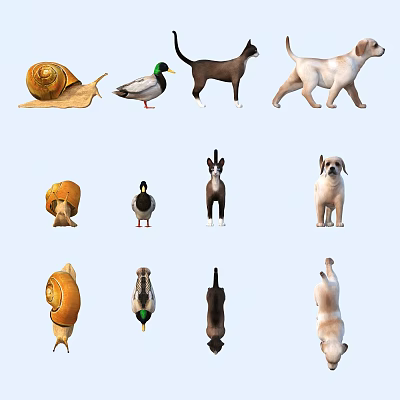 Various Animals Collection with Snail Duck Dog and Mushroom 3d model