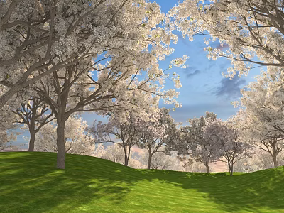 Beautiful Scenic Landscape With White Flowering Trees Green Grass Blue Sky And Clouds 3d model